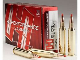 HORNADY .243 75GR V-Max X 20