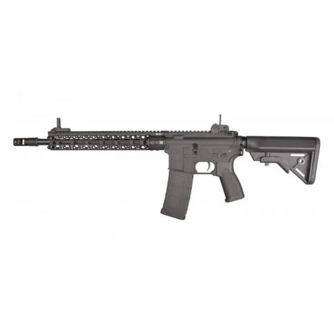 Raven Evolution ORE HIVE 12 AEG - Black
